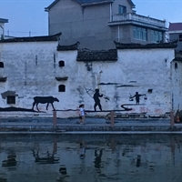 浙师大林子健