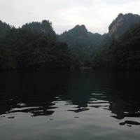 Ycho杨