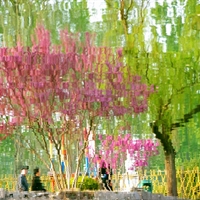 少海之春