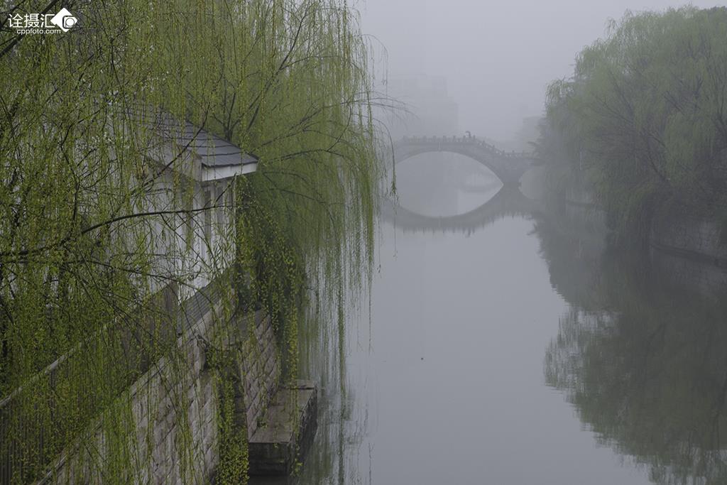 三月里的小雨