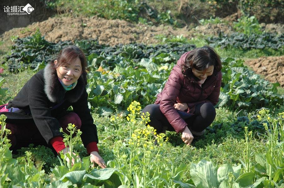 女人爱劳动