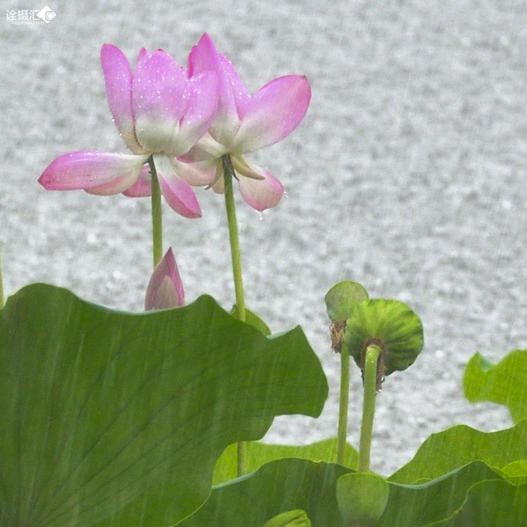 风风雨雨