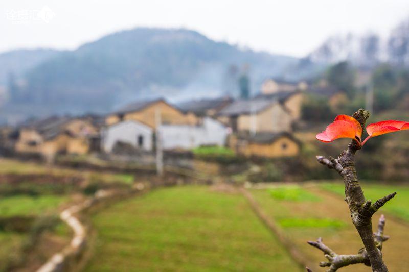 山村炊烟