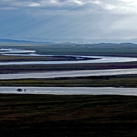 zh8495269