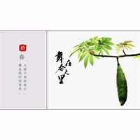 wang0372