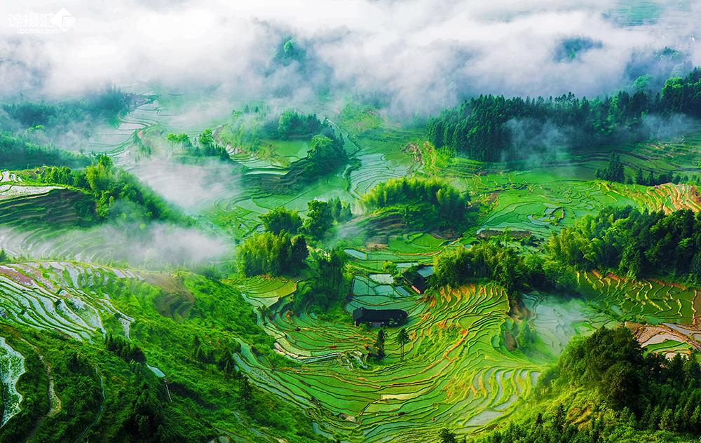 紫鹊界梯田