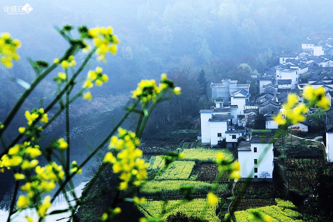 春意山村