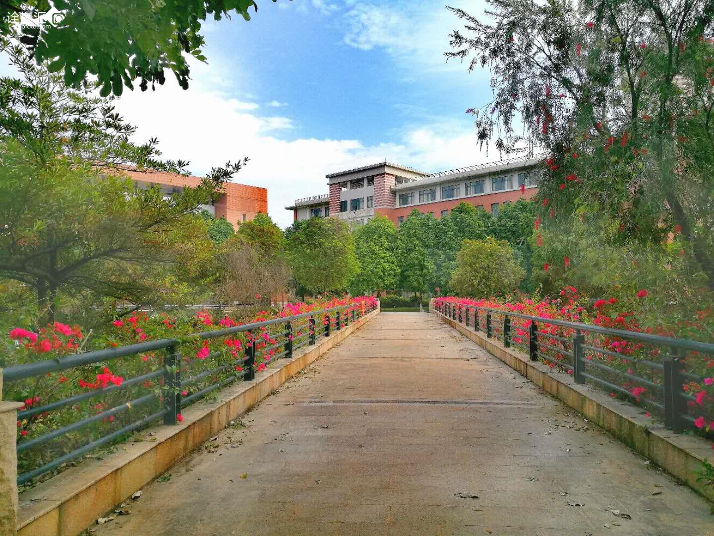 ɽѧУ