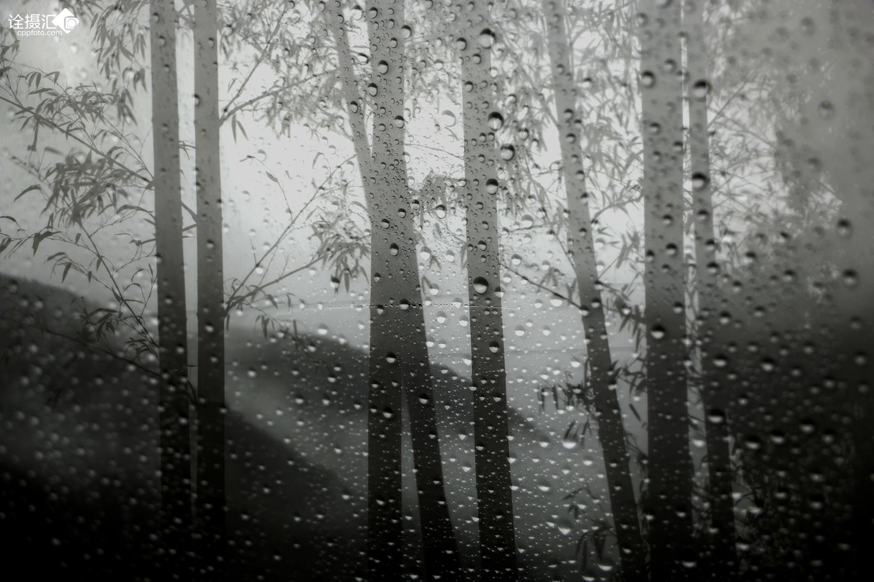 《烟雨竹林》