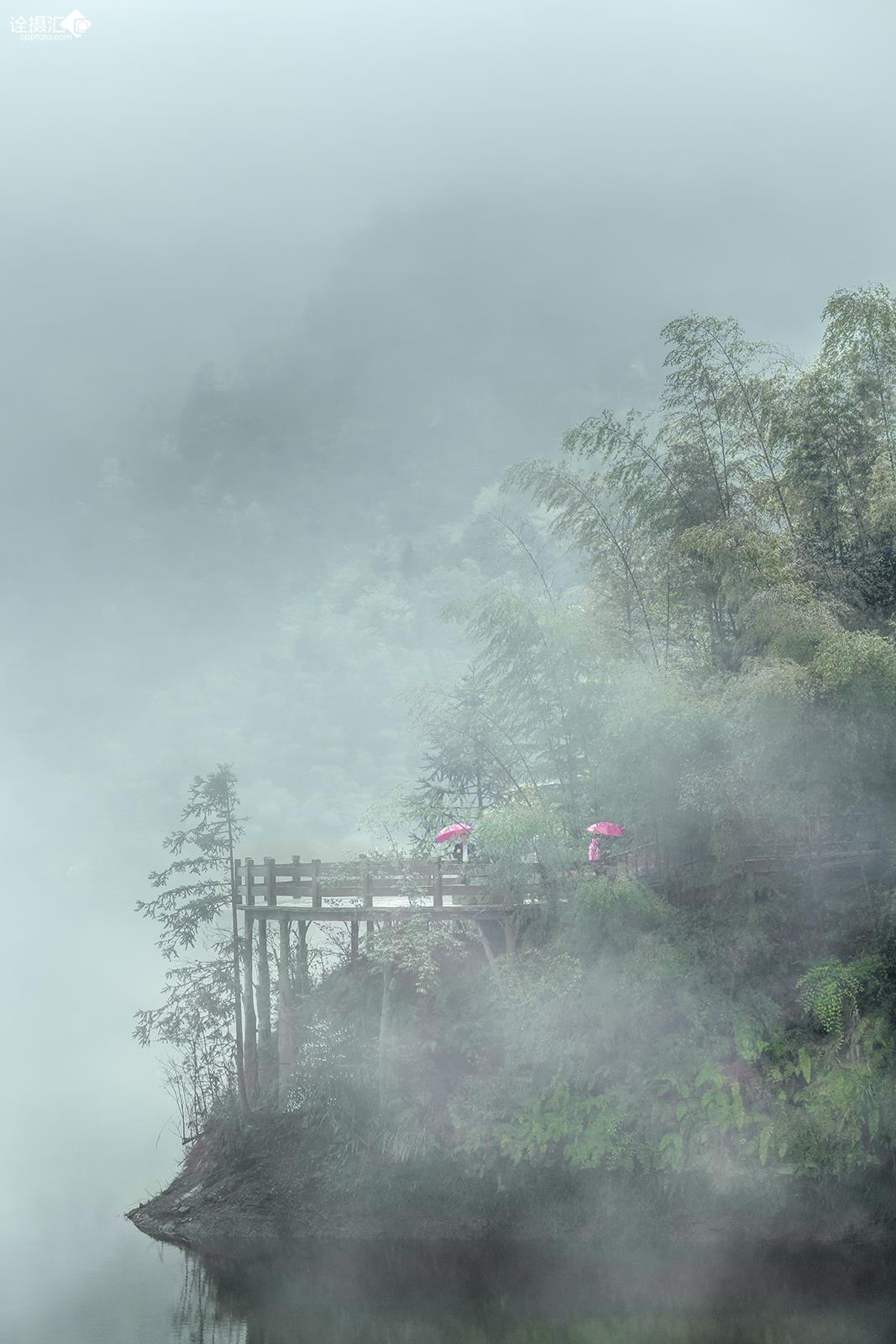 空山新雨