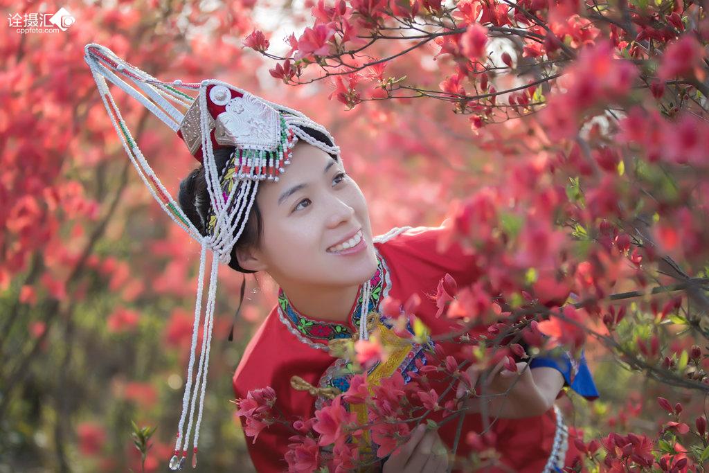 《杜鹃花丛美》