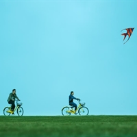 君子之交成人之美