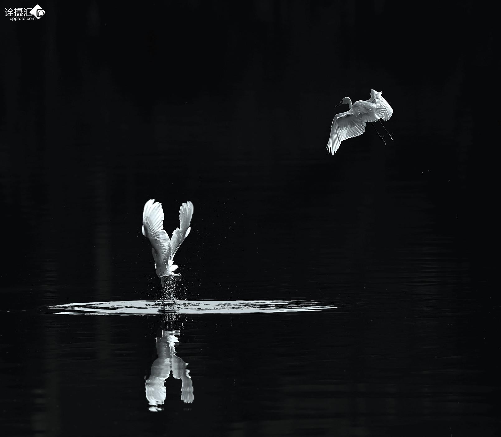 飞舞