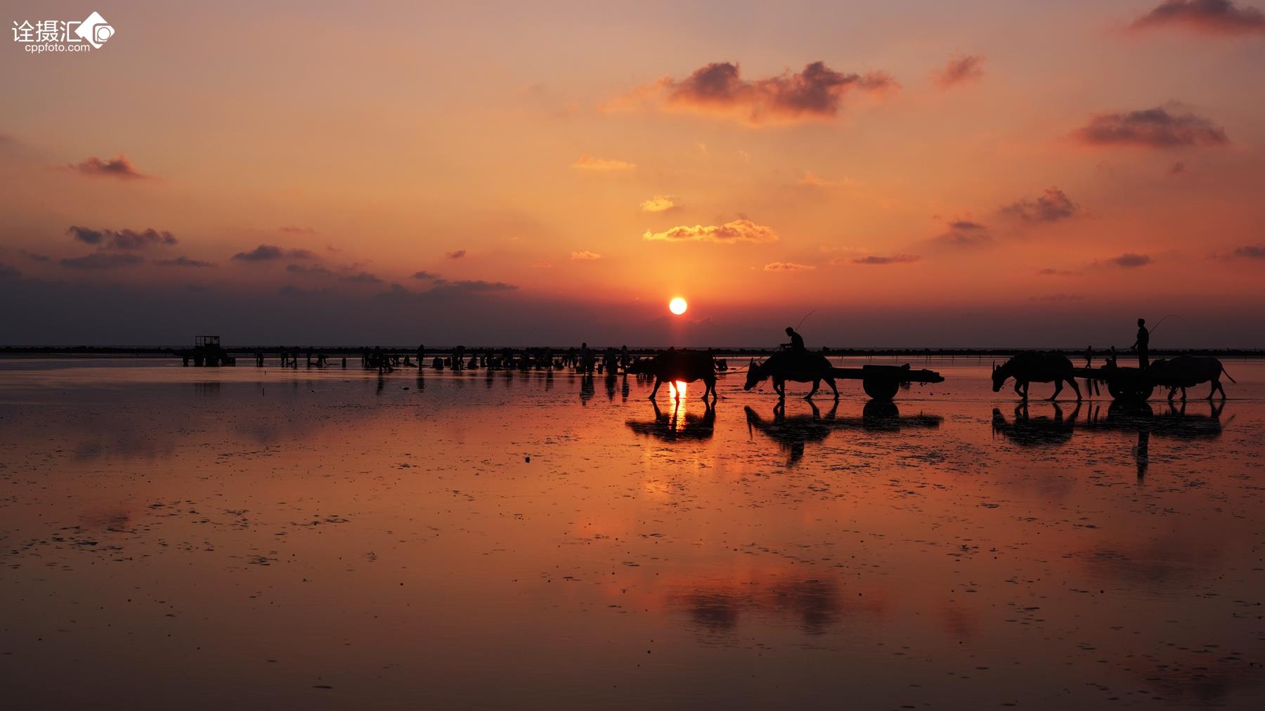 赶海