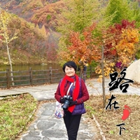 李凤杰