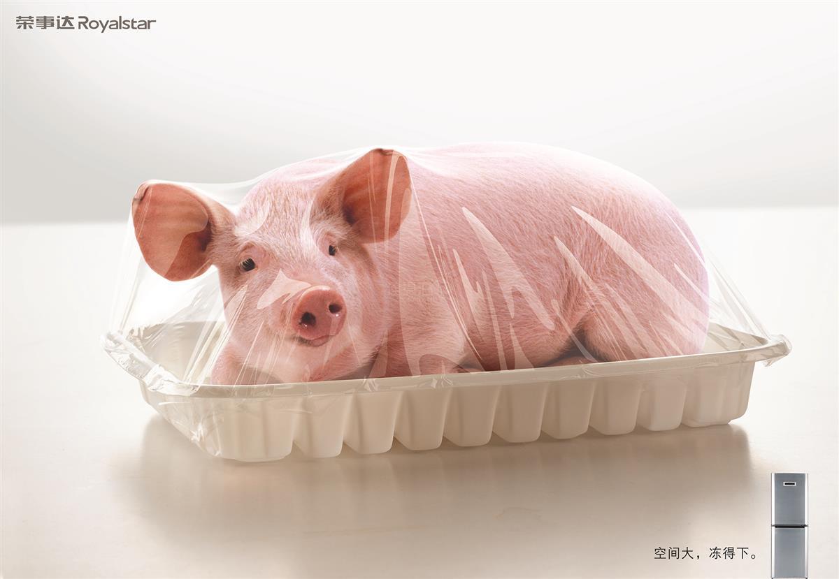 美的冰箱-肥猪篇