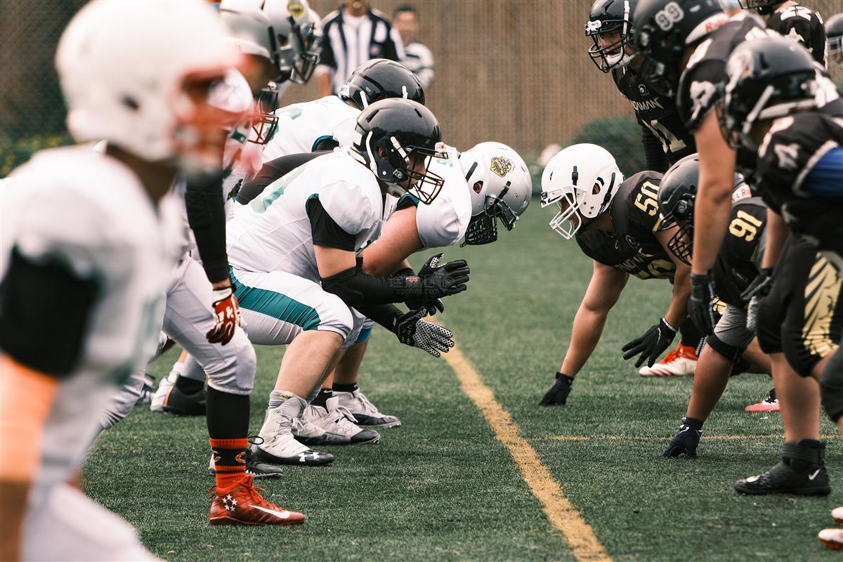 熊队主场迎战包装工队争夺季后赛关键席位