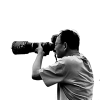 圆梦的丁